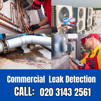 Commercial Leak Detection Services in South Woodford | South Woodford Leak Detection