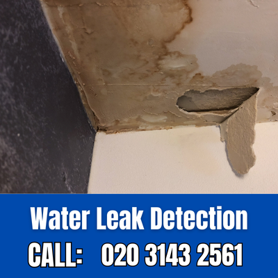 Expert Water Leak Detection Services in South Woodford | South Woodford Leak Detection